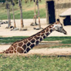 Meet your Posher, Hollan